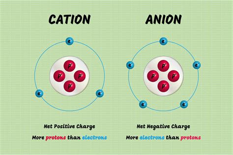 Anions and cations are two types of ions that differ in their electrical charge. Here are the key differences between anions and cations: Charge: An anion is a negatively charged ion, meaning it has gained one or more electrons. In contrast, a cation is a positively charged ion that has lost one or more electrons.
